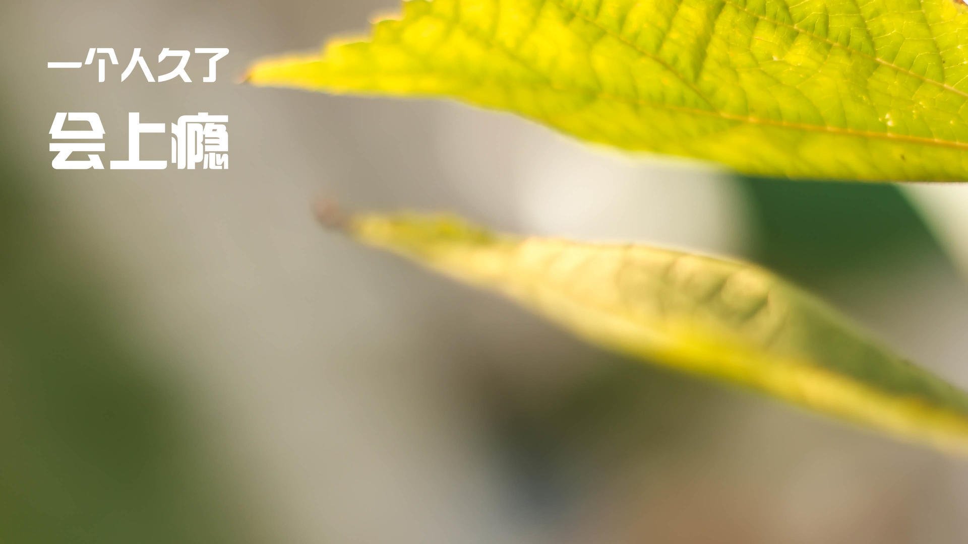 五大联赛是否通过空间配速数据识别核心跑动位置，五大联赛跑动距离